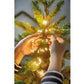 Cascata luminosa per albero di Natale da 210cm 672 microled bianco caldo 49.6157