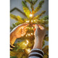 Cascata luminosa per albero di Natale 210 cm 672 microled bianco freddo 49.6155