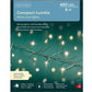 Luci di Natale LED per Albero di Natale 480 microled 6 m 49.6676 LUCE CALDA
